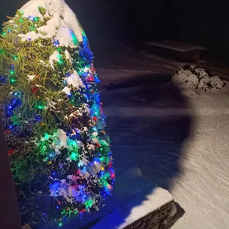 شقة Dom W Krokusach Goscinne